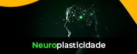 Neuroplasticidade