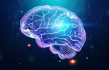 O que é Neurociência?