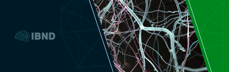 A ciência da mudança: explorando a Neuroplasticidade para transformar sua vida
