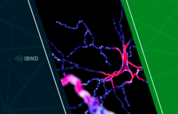Dopamina: tudo o que você precisa saber sobre esse neurotransmissor.
