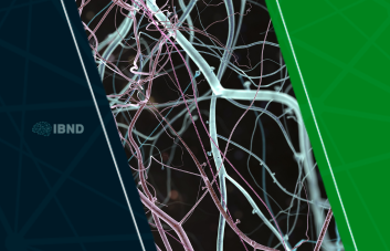 A ciência da mudança: explorando a Neuroplasticidade para transformar sua vida