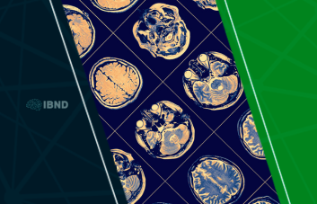 Neurociência do autoaperfeiçoamento: como o cérebro responde ao desenvolvimento pessoal