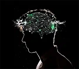 Instituto Brasileiro de Neurodesenvolvimento | Pós-graduação | Inteligência Emocional e muito mais