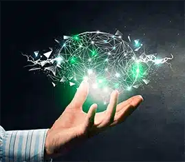 Instituto Brasileiro de Neurodesenvolvimento | Pós-graduação | Inteligência Emocional e muito mais